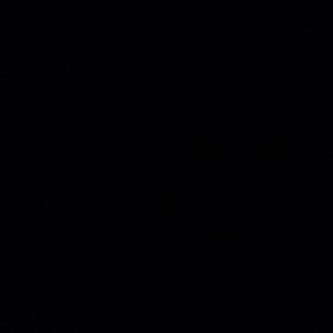 Meet your Posher, Darrell